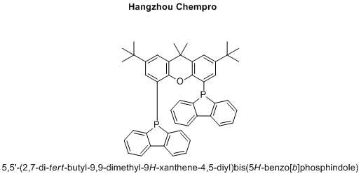 5,5'-(2,7-di-tert-butyl-9,9-dimethyl-9H-xanthene-4,5-diyl)bis(5H-benzo[b]phosphindole)