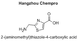 2-(aminomethyl)thiazole-4-carboxylic acid