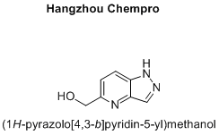 (1H-pyrazolo[4,3-b]pyridin-5-yl)methanol