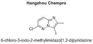 6-chloro-3-iodo-2-methylimidazo[1,2-b]pyridazine